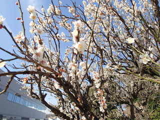 P2240004.JPG