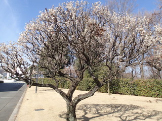 P2240007.JPG