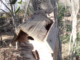 P2240014.JPG
