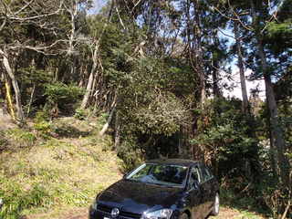 P2250019.JPG