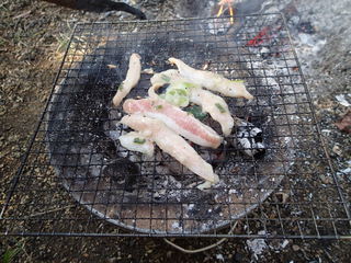 P2250060.JPG