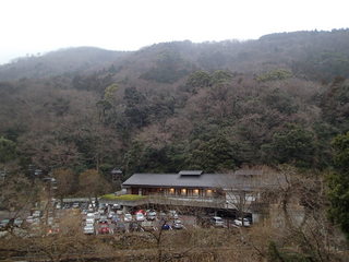 P3010108.JPG