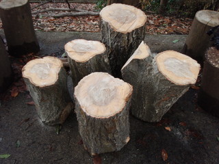 P3030007.JPG