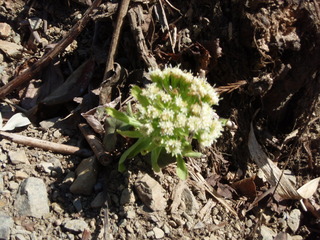 P3050028.JPG