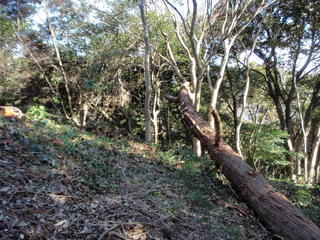 P3050056.JPG