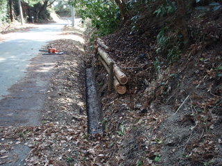 P3060004.JPG