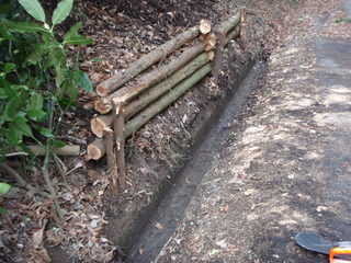 P3060006.JPG
