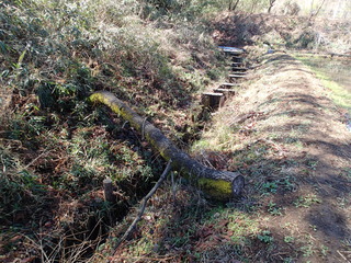 P3140025.JPG