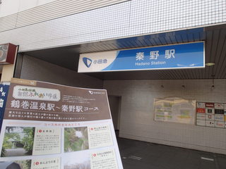 P3150010.JPG