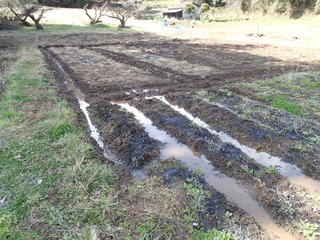 P3150031.JPG