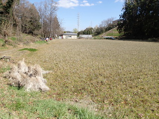 P3150035.JPG