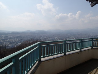 P3150123.JPG