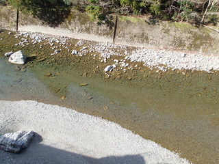 P3180211.JPG