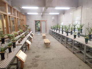 P3190405.JPG