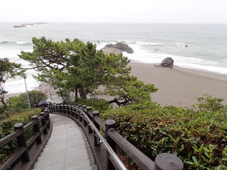 P3190453.JPG