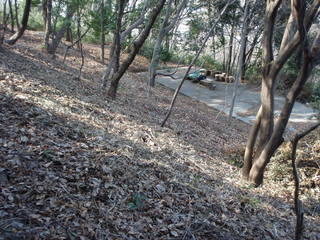P3200002.JPG