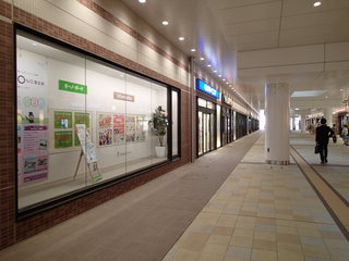 P3220006.JPG