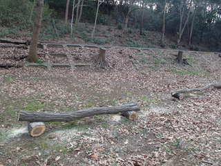 P3240043.JPG