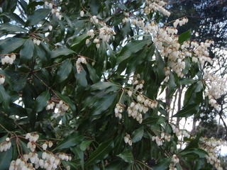 P3250056.JPG