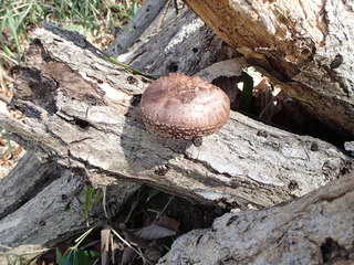 P3250095.JPG