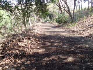 P3250106.JPG