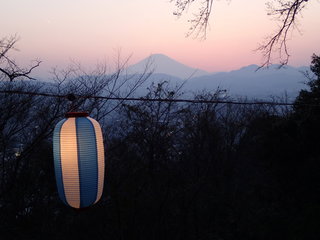 P3300015.JPG