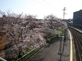 P3300532.JPG