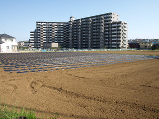 P3300542.JPG