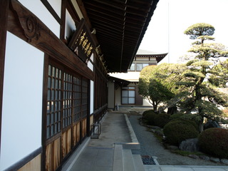 P3300549.JPG