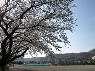 P3300562.JPG