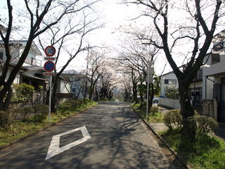 P3300597.JPG