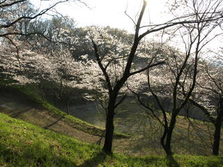 P3300682.JPG