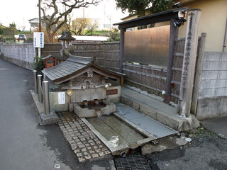 P3300720.JPG
