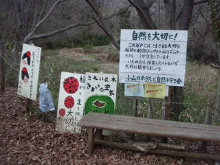 P3310010.JPG
