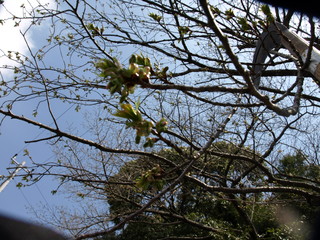 P4016442.JPG