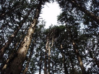 P4070012.JPG
