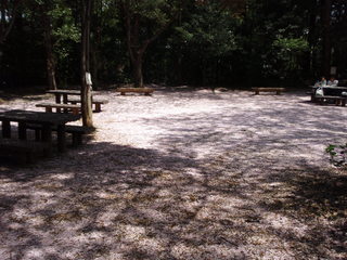 P4110009.JPG