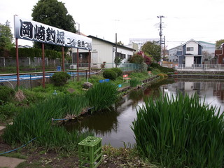 P4114119.JPG