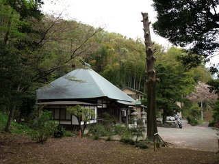 P4114177.JPG