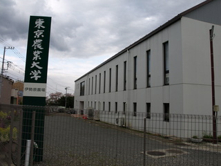 P4114207.JPG