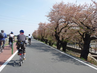 P4160009.JPG