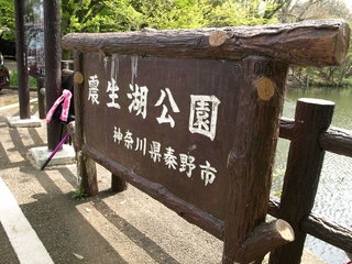 P4160814.JPG