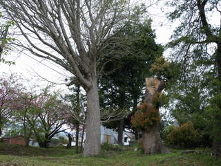 P4160990.JPG