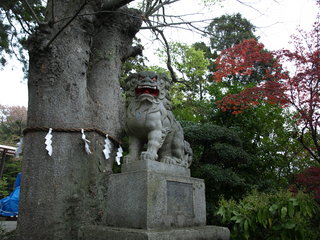 P4161005.JPG