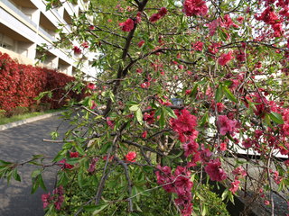P4170001.JPG