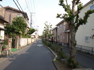 P4170008.JPG