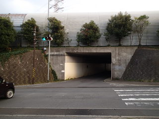 P4170009.JPG