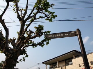 P4170012.JPG