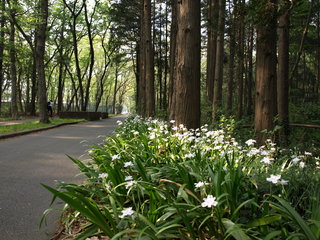 P4170035.JPG