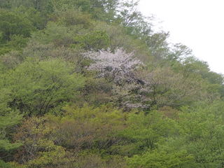 P4170046.JPG